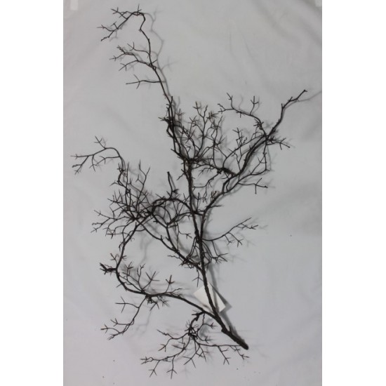 VITE SELVATICA 110 CM
