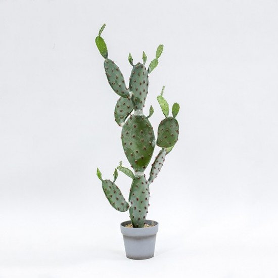 CACTUS C/VASO 120 CM