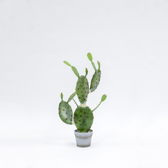CACTUS C/VASO 76 CM