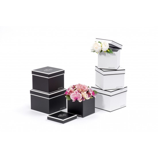 SET/3 SCATOLE QUADRATE