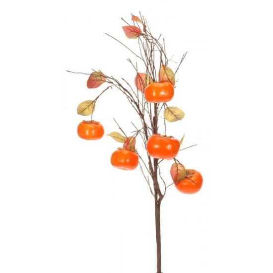 RAMO CACO 90CM