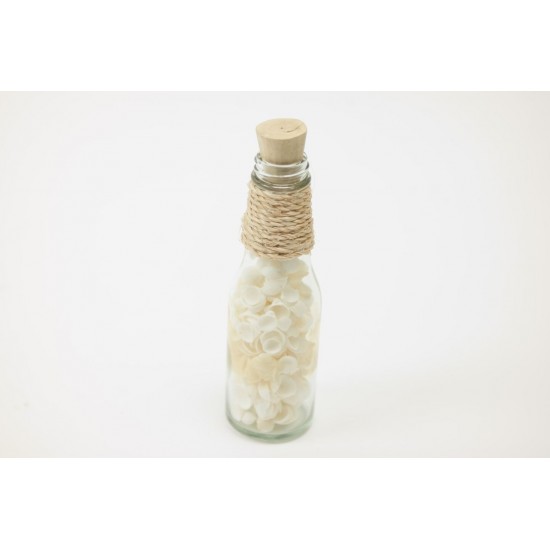 BOTTLE BAYSHELL