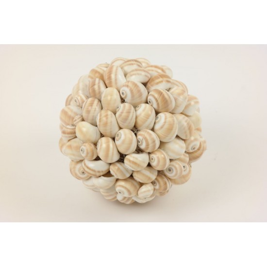 SFERA DI CONCHIGLIE D.15