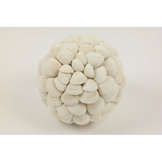 SFERA DI CONCHIGLIE CHIPPY D.15