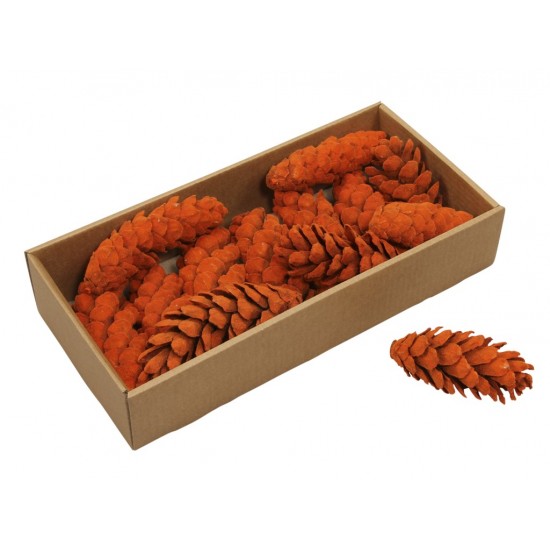 PIGNA STROBUS FLOCK X13