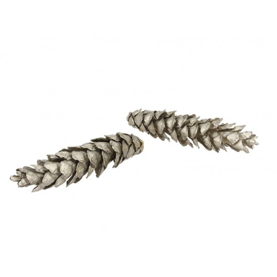 PIGNE STROBUS 25PZ 20-25CM