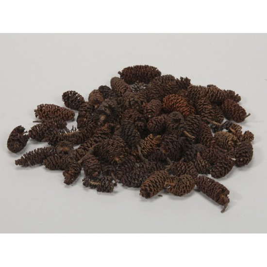 PIGNETTE  500GR