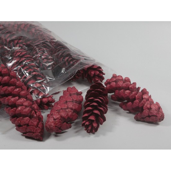 PIGNE STROBUS 25PZ 20-25CM
