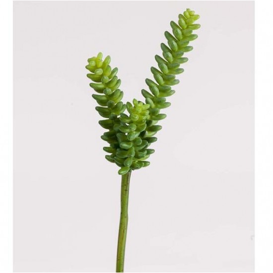 SUCCULENT PICK 30CM
