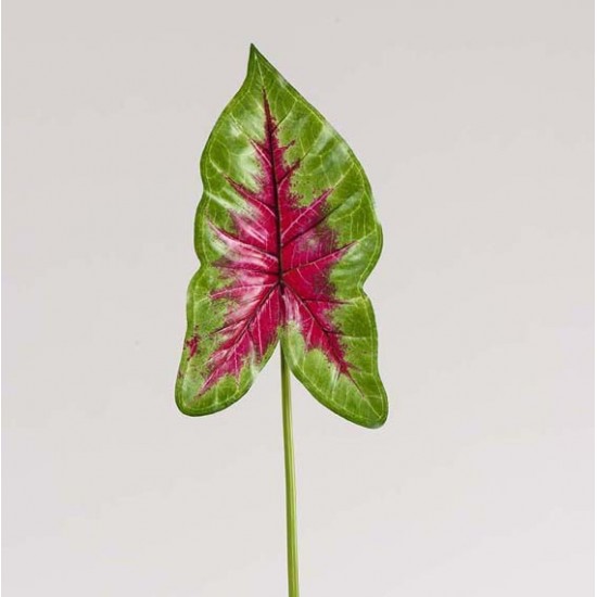 FOGLIA CALADIUM 83CM