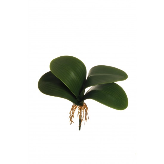 0RCHID LEAF X4 29.5 CM