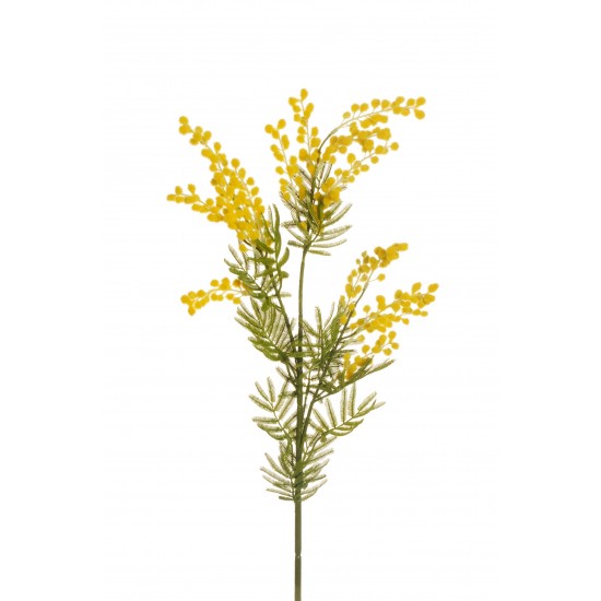 MIMOSA X3 85.5CM