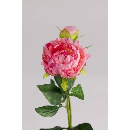 *MINI PEONIA X2 60CM
