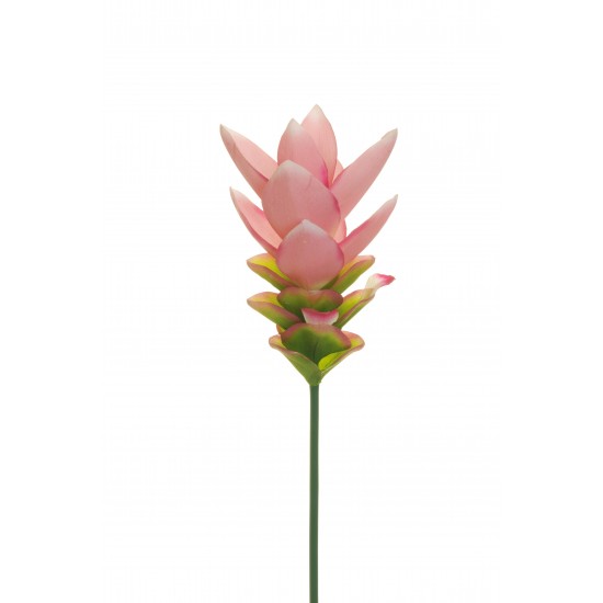 RAMO CURCUMA REAL TOUCH 66 CM