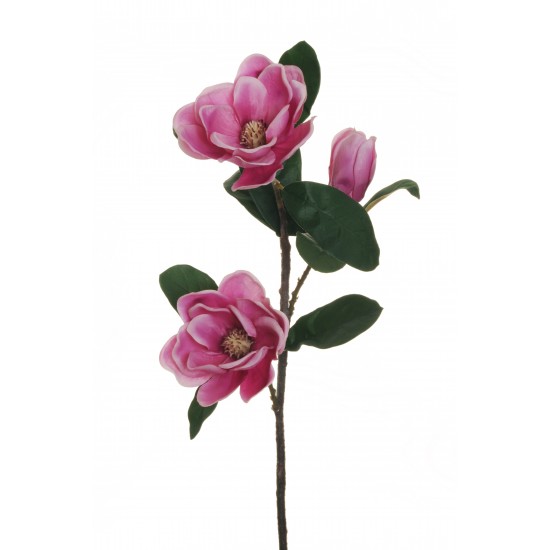 MAGNOLIA RAMO X3 75CM