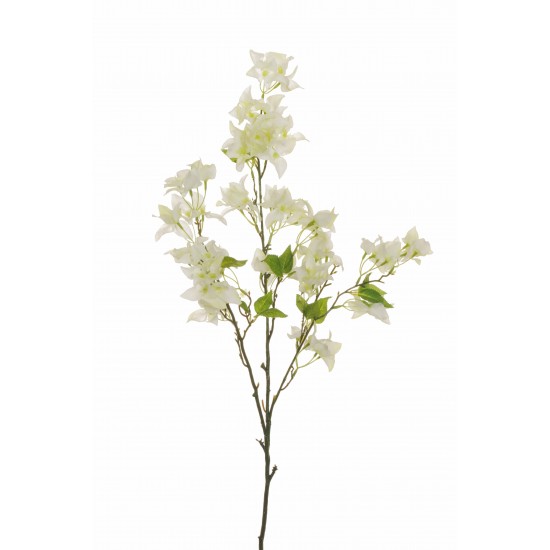 BOUGAINVILLEA RAMO X3 108CM