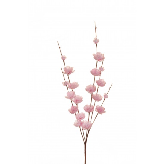 PICK RAMO PESCO X5 50 CM