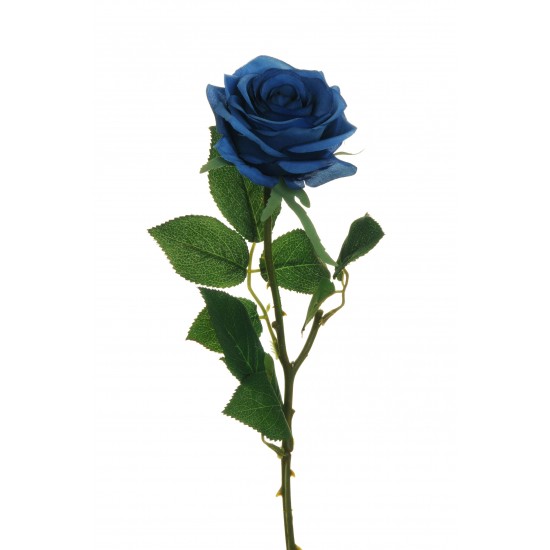 ROSA ECUADOR 65CM