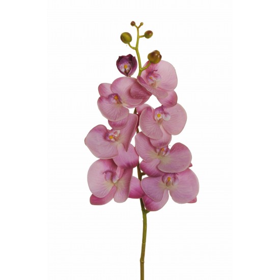 PHALAENOPSIS  REAL TOUCH 102 CM