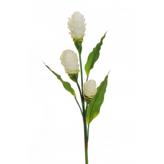 GINGER X3 H110CM