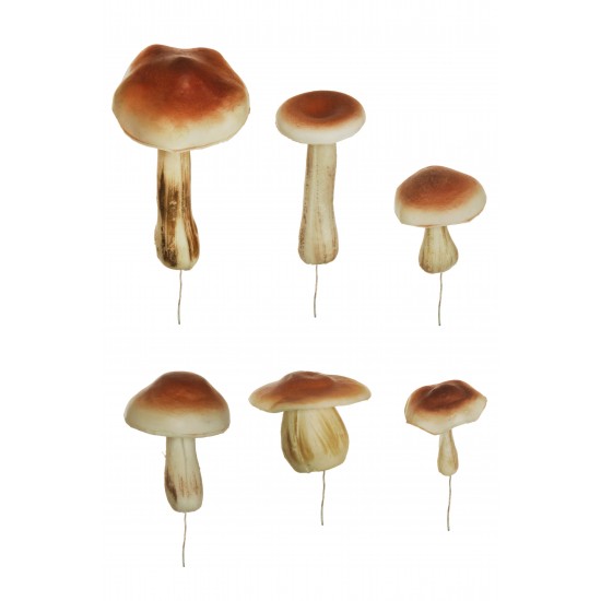 FUNGHI ASSORTITI X 6PZ.