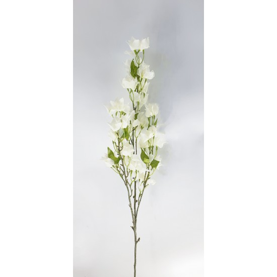 BOUGAINVILLEA RAMO X3 108CM