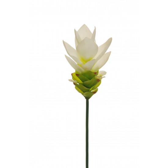RAMO CURCUMA REAL TOUCH 66 CM