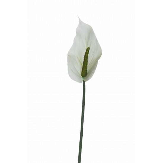 ANTHURIUM LUMINA  REAL TOUCH CM74