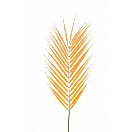 ARECA PALM H.68 CM