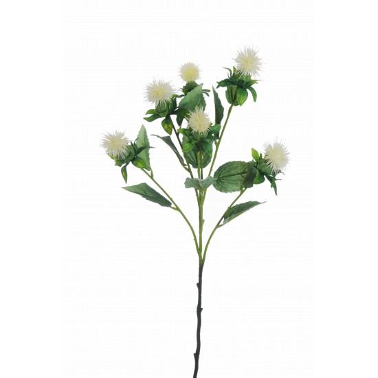 RAMO CARTHAMUS X6 CM77