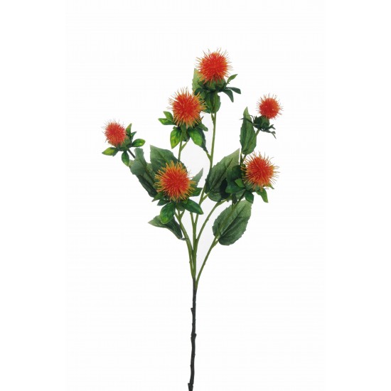 RAMO CARTHAMUS X6 CM77
