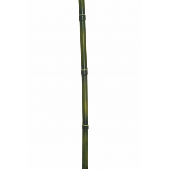 BAMBOO  D.2.5 CM177