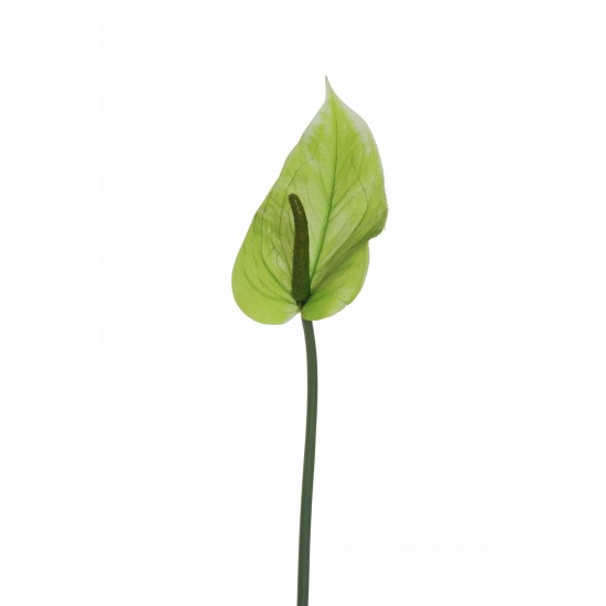 ANTHURIUM LUMINA  REAL TOUCH CM74