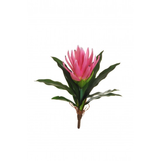 REAL TOUCH KOREAN BROMELIA 34 CM