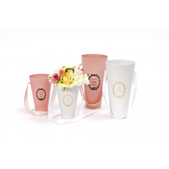 SET/2 SCATOLE CONO