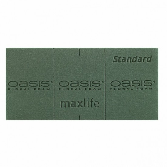 *SPUGNA OASIS STANDARD X 35PZ