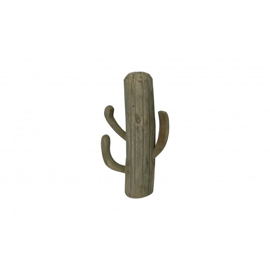 CACTUS LEGNO 10X24X50CM