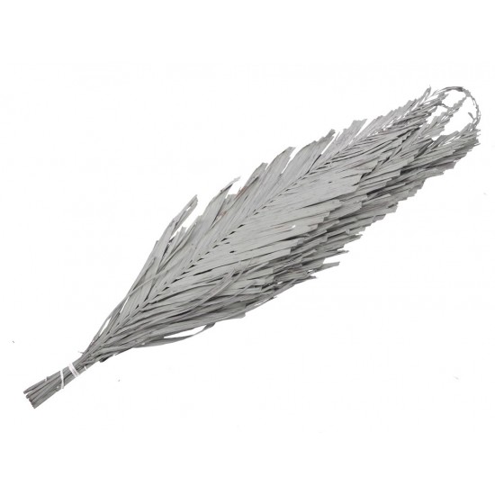 FOGLIA PALMA 65-75CM