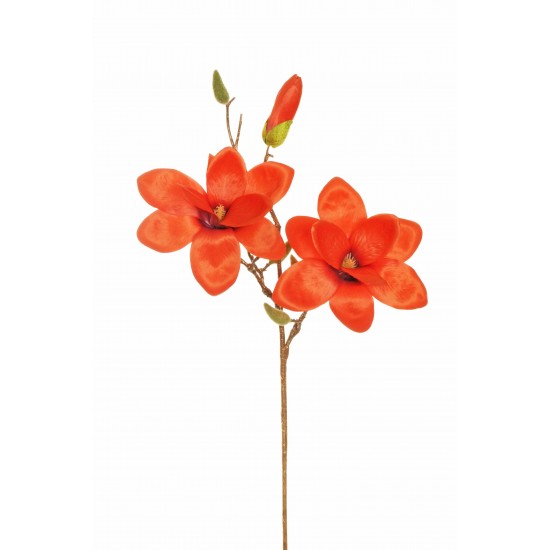 RAMO MAGNOLIA 72CM