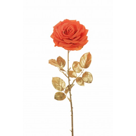 ROSA REGINA 81CM