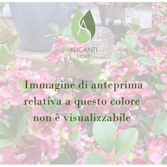 FIALETTE CC 7.5CM X 100PZ