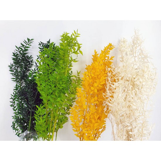 RUSCUS PRESERVATO X150 GR