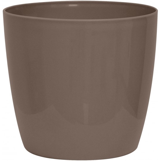 VASO VERVE CM 25