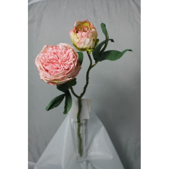RAMO PEONIA