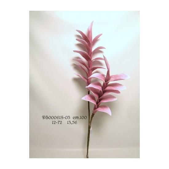 RAMO HELICONIA X2