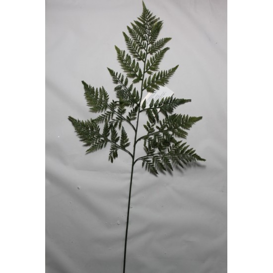 FELCE 78CM