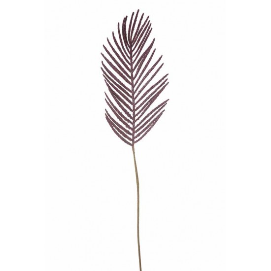 FOGLIA CYCAS