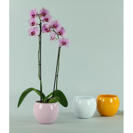 P.VASO SFERA Ø16.5  H. 13.5 CM