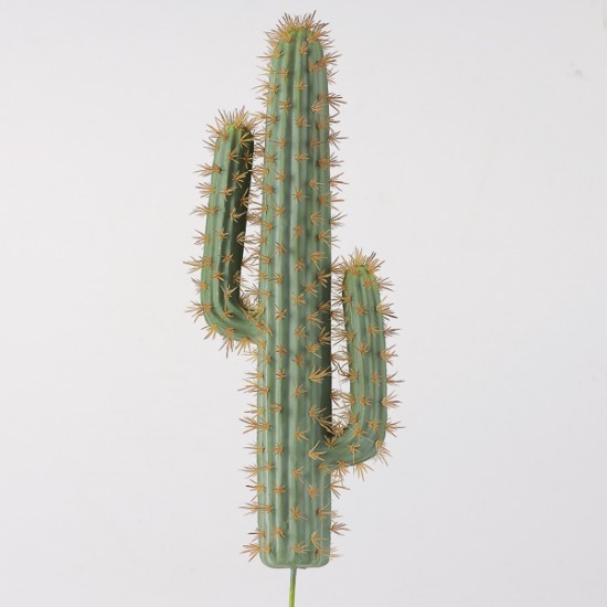 CACTUS 20X20X60 CM