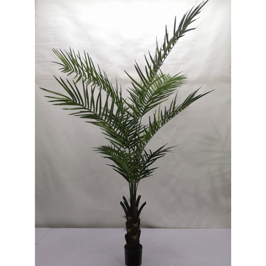 KENZIA H180CM C/334 F.